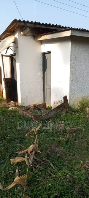 1bdrm Apartment in Palm Lands, Takoradi for rent