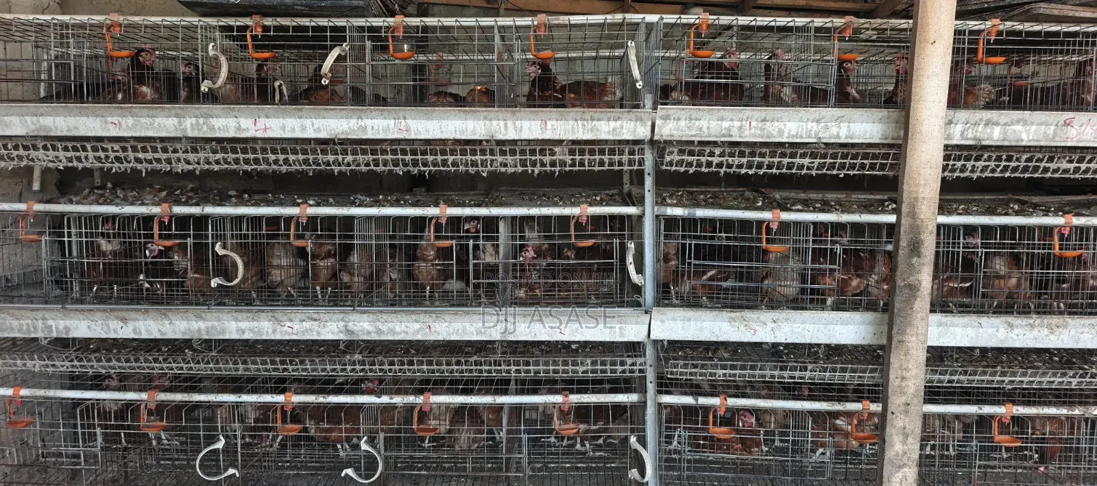 H- Type Battery Cages for Sale(3 Tiers) Contain 120 Capacity