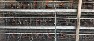 H- Type Battery Cages for Sale(3 Tiers) Contain 120 Capacity