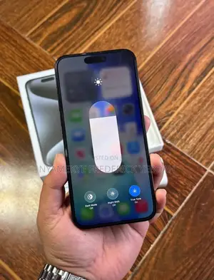 Apple iPhone 15 Pro Max 256 GB Gray