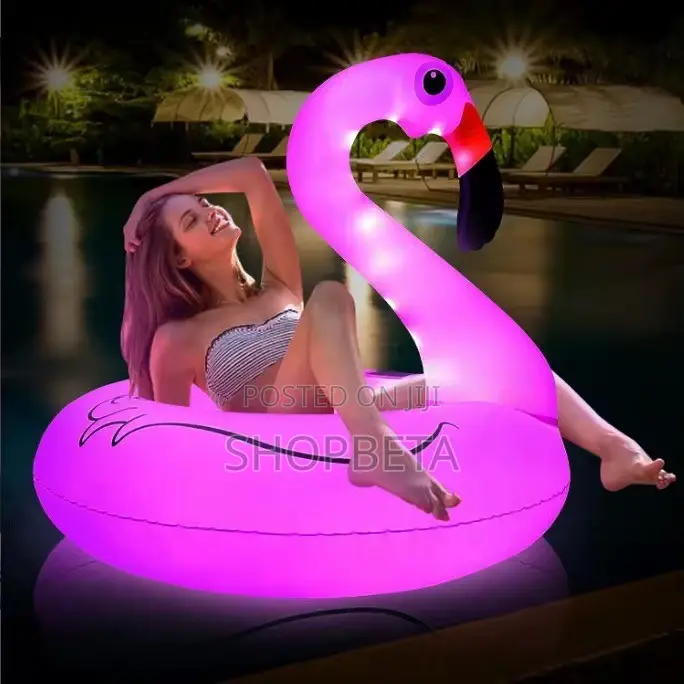 LED Inflatable Flamingo Pool Float for Kids