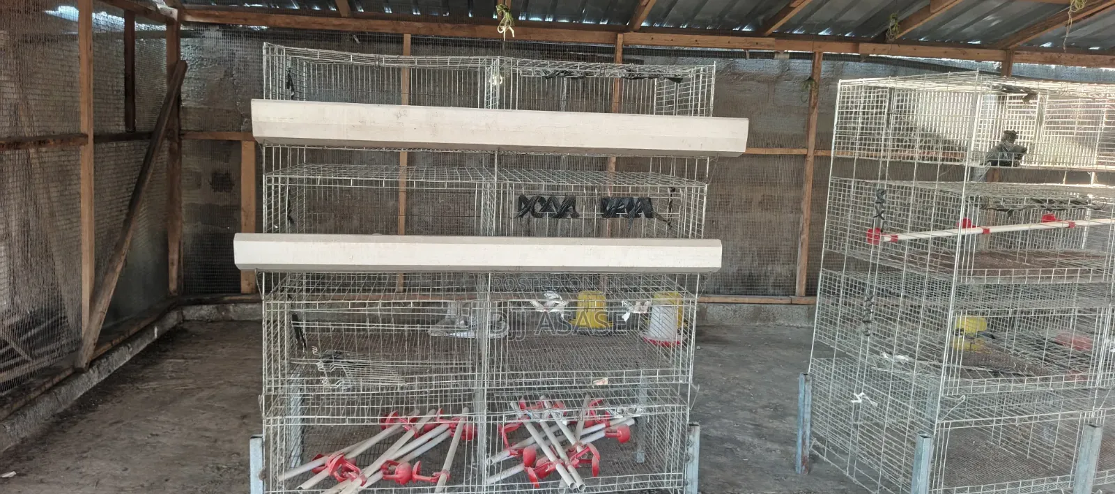 Day-Old Chicken Battery Cages for Sale – Capacity 400 Birds