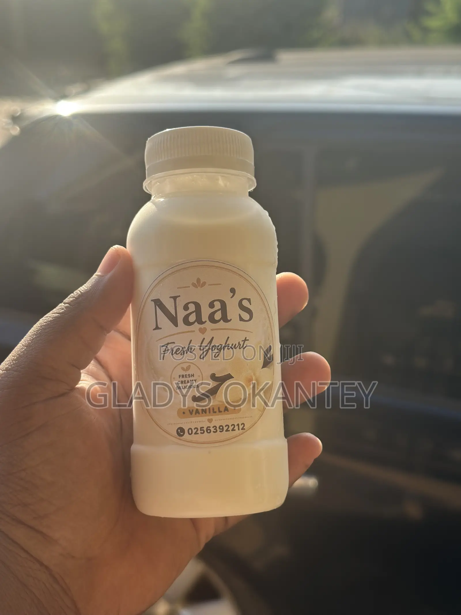 Fresh Creamy Yoghurt