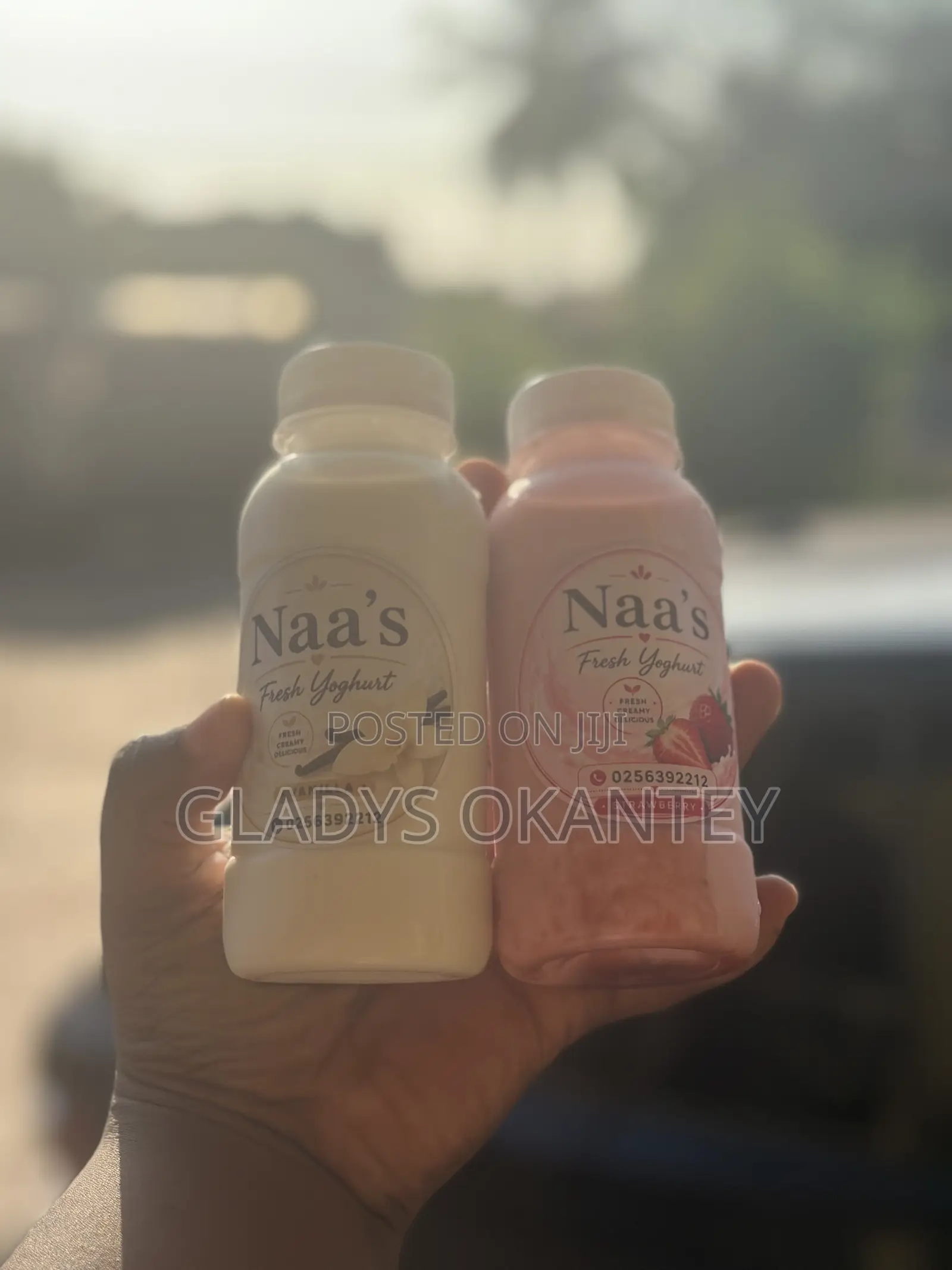 Fresh Creamy Yoghurt