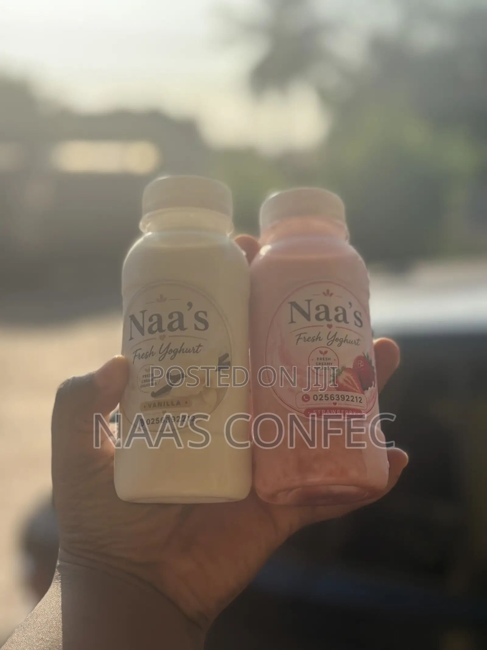 Fresh Creamy Yoghurt