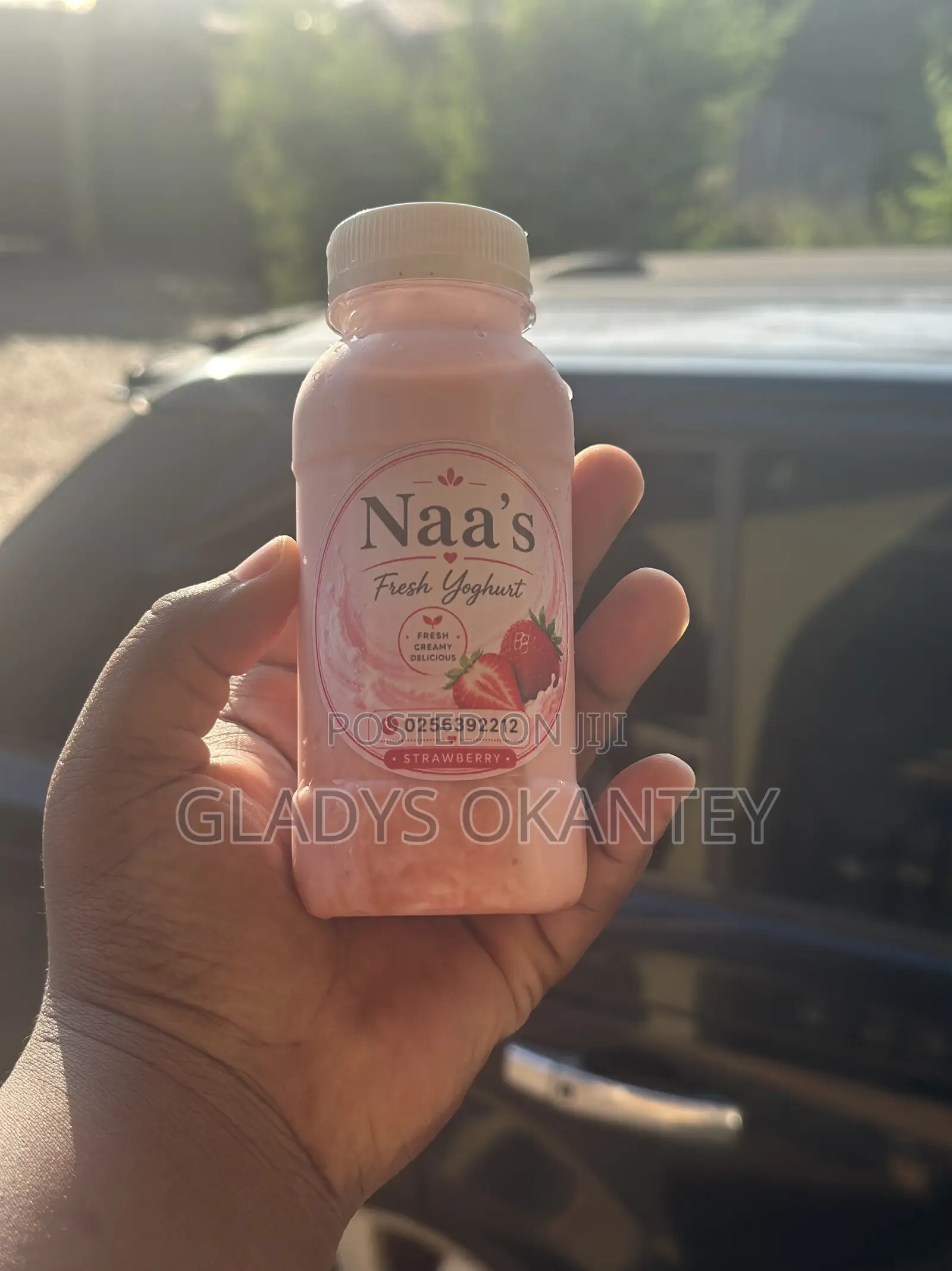 Fresh Creamy Yoghurt