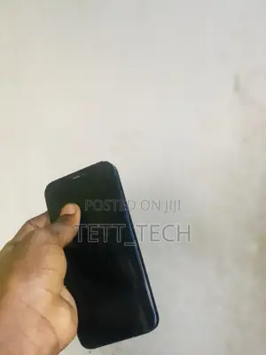 Apple iPhone 12 128 GB Gray