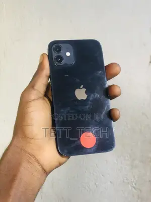 Apple iPhone 12 128 GB Gray