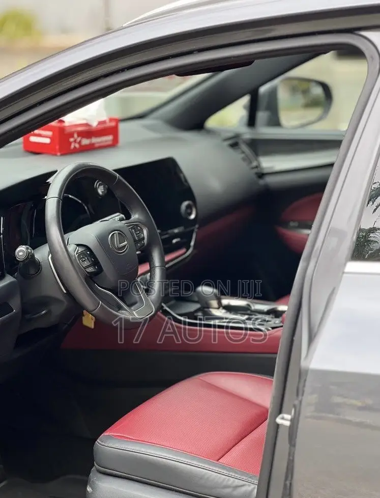 Lexus NX 350 AWD 2024 Gray