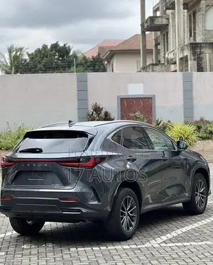 Lexus NX 350 AWD 2024 Gray