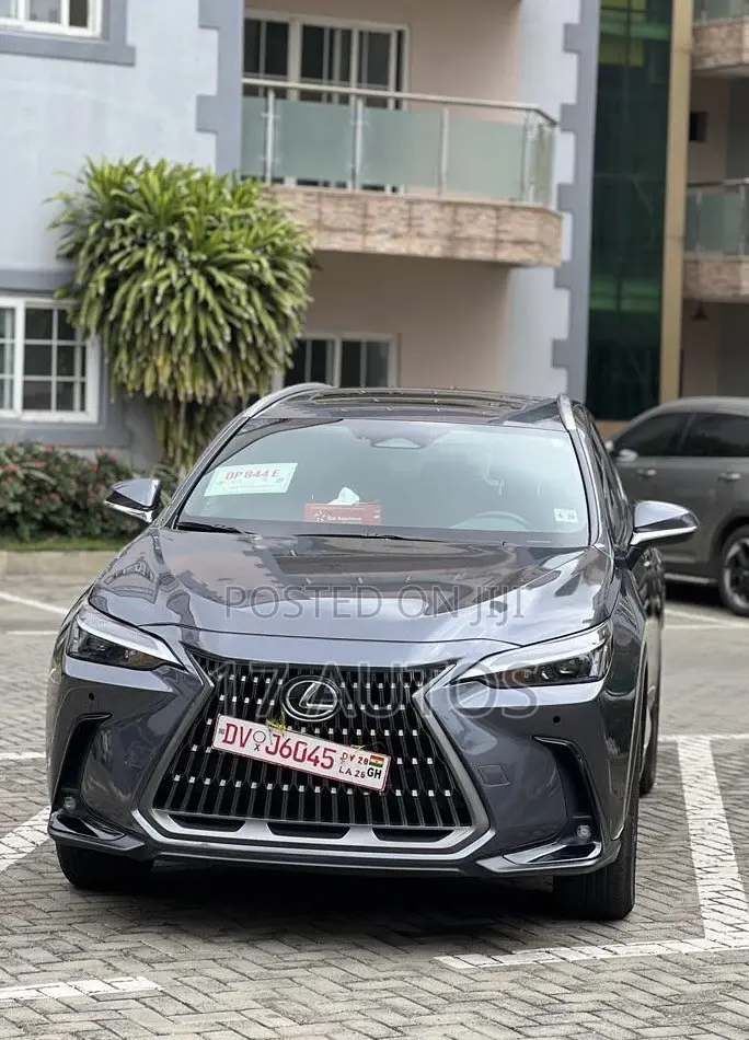 Lexus NX 350 AWD 2024 Gray