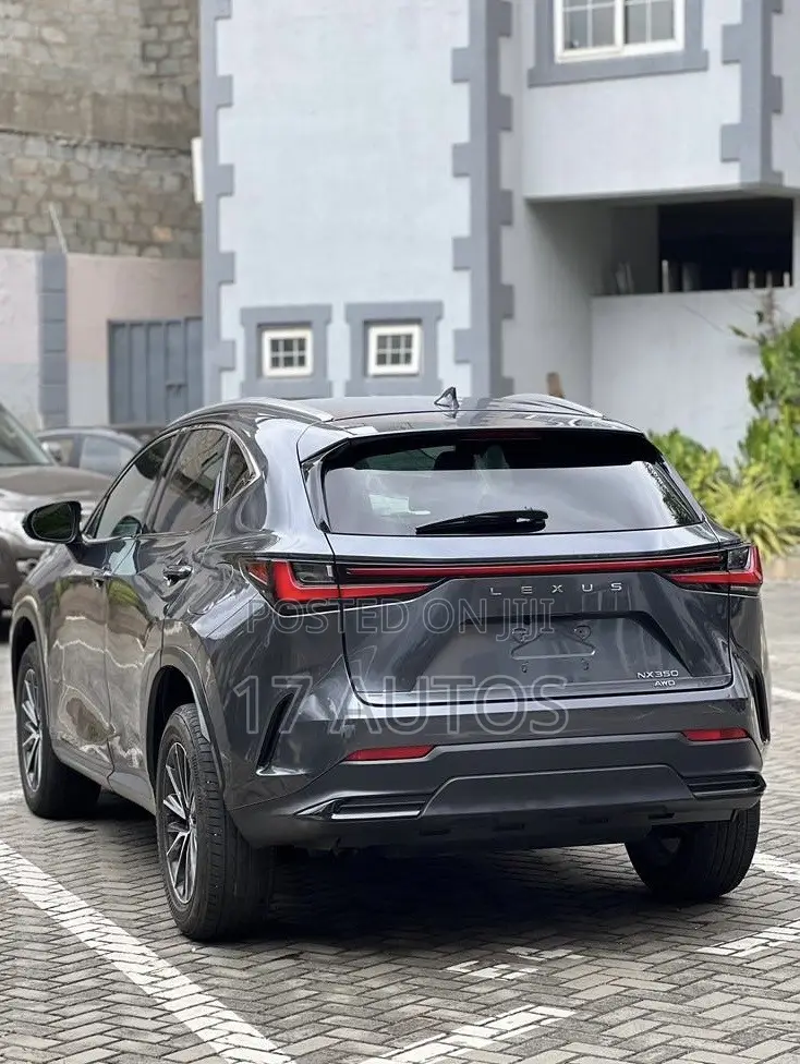 Lexus NX 350 AWD 2024 Gray