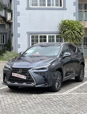 Lexus NX 350 AWD 2024 Gray