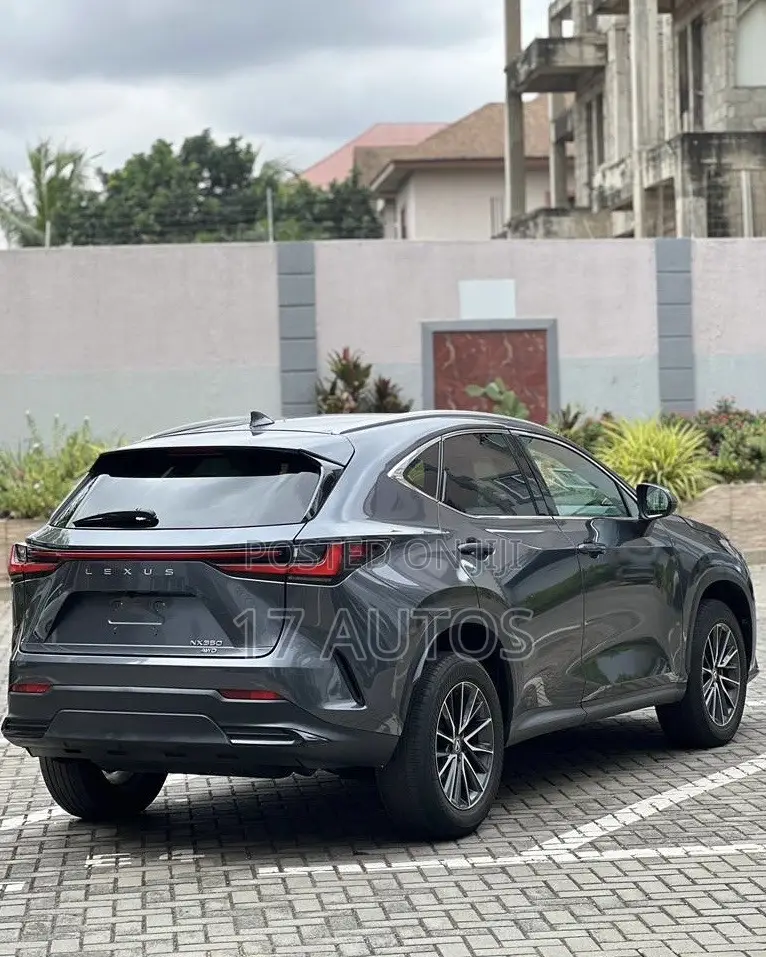 Lexus NX 350 AWD 2024 Gray