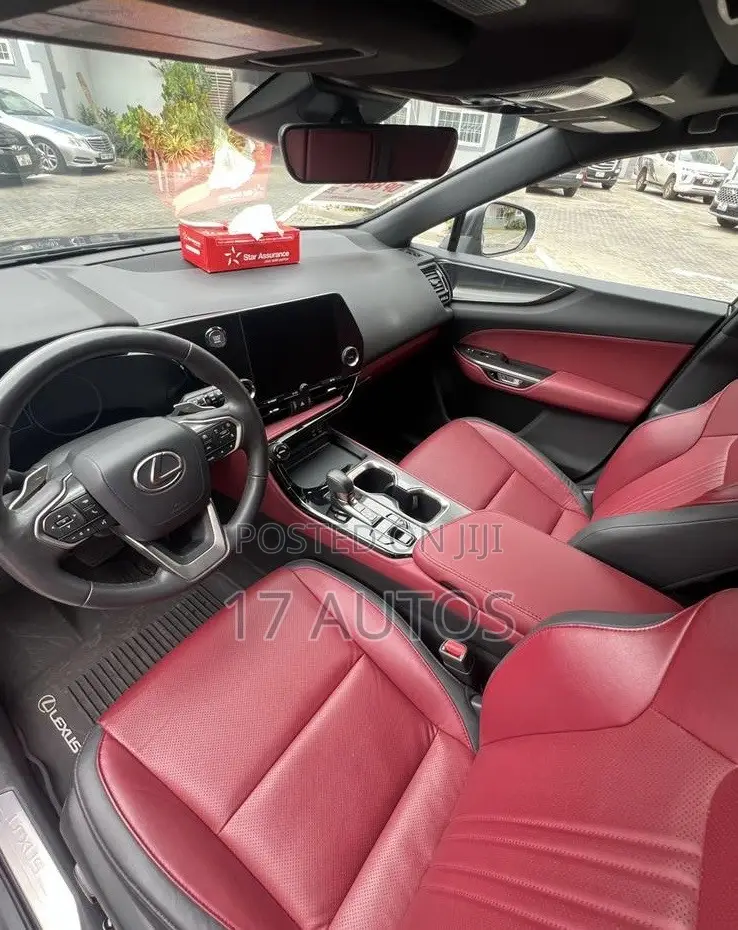 Lexus NX 350 AWD 2024 Gray