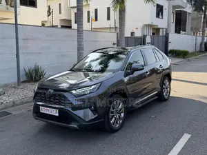 Toyota RAV4 XLE Premium AWD 2023 Silver