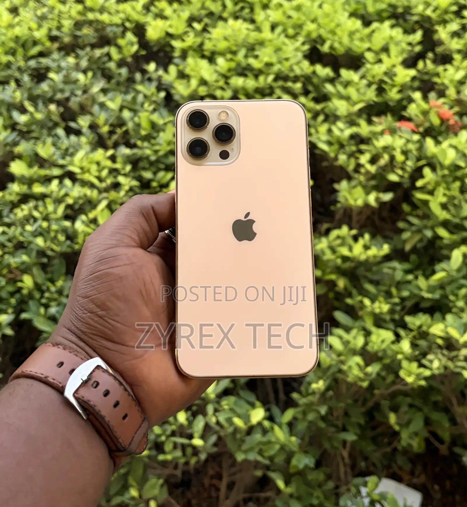 Apple iPhone 12 Pro Max 256 GB Gold