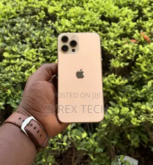 Apple iPhone 12 Pro Max 256 GB Gold