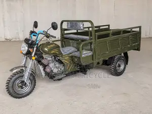 New Tricycle 2026 Green