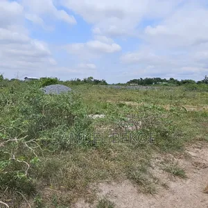 Two Plots of Land