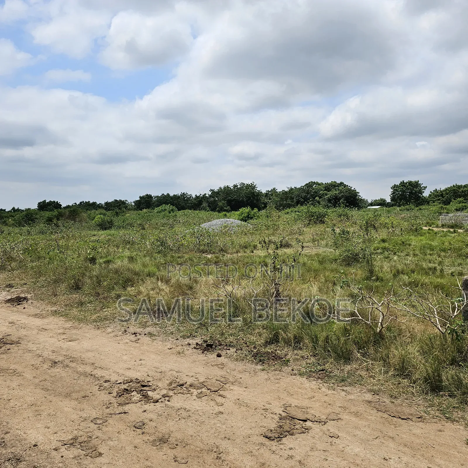 Two Plots of Land