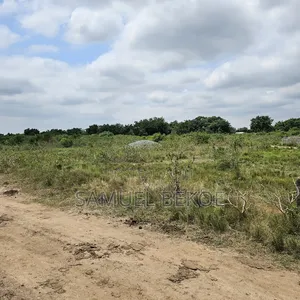Two Plots of Land