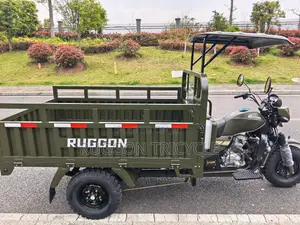 New Tricycle 2026 Green