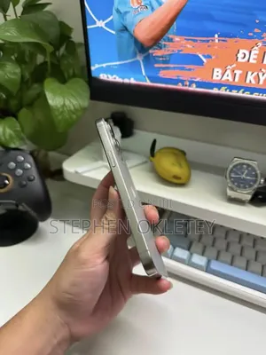 Apple iPhone 15 Pro Max 256 GB Silver