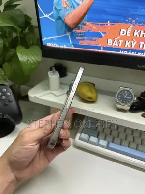 Apple iPhone 15 Pro Max 256 GB Silver
