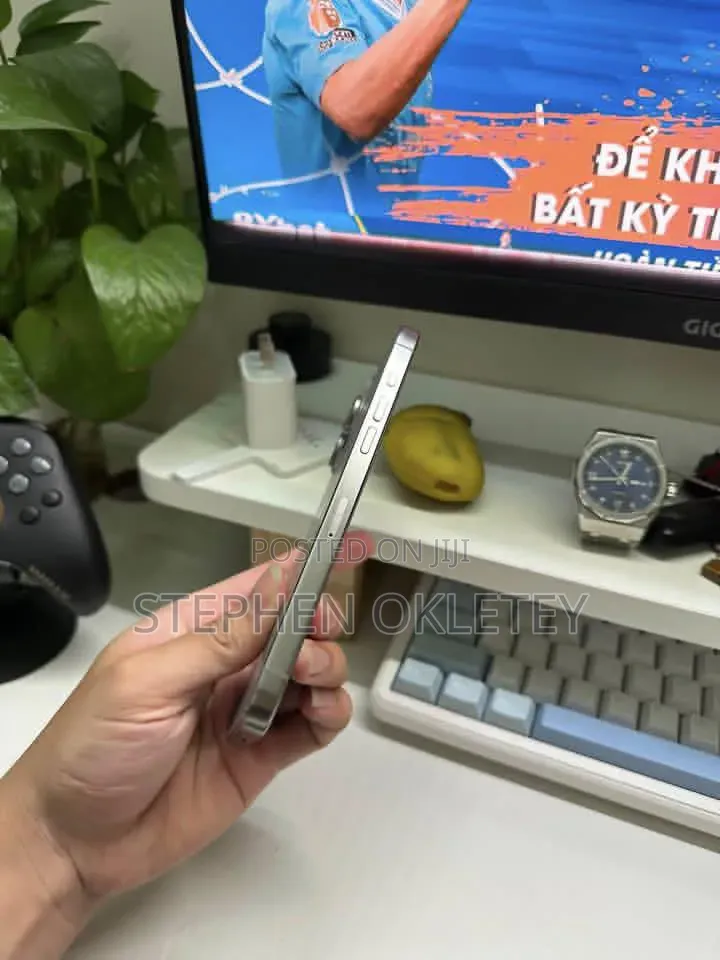 Apple iPhone 15 Pro Max 256 GB Silver