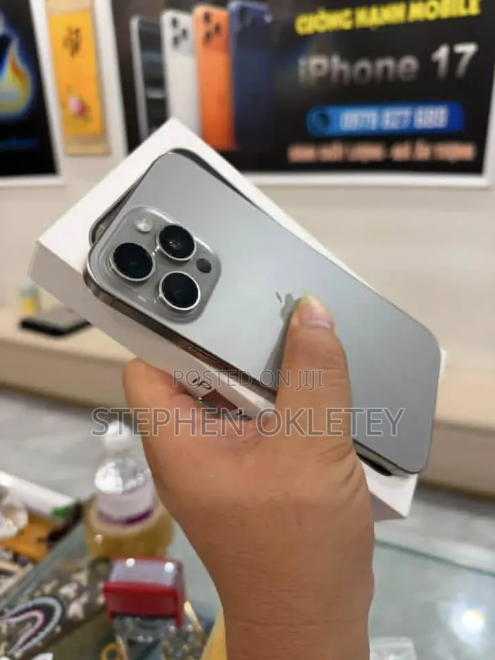 Apple iPhone 15 Pro Max 256 GB Silver