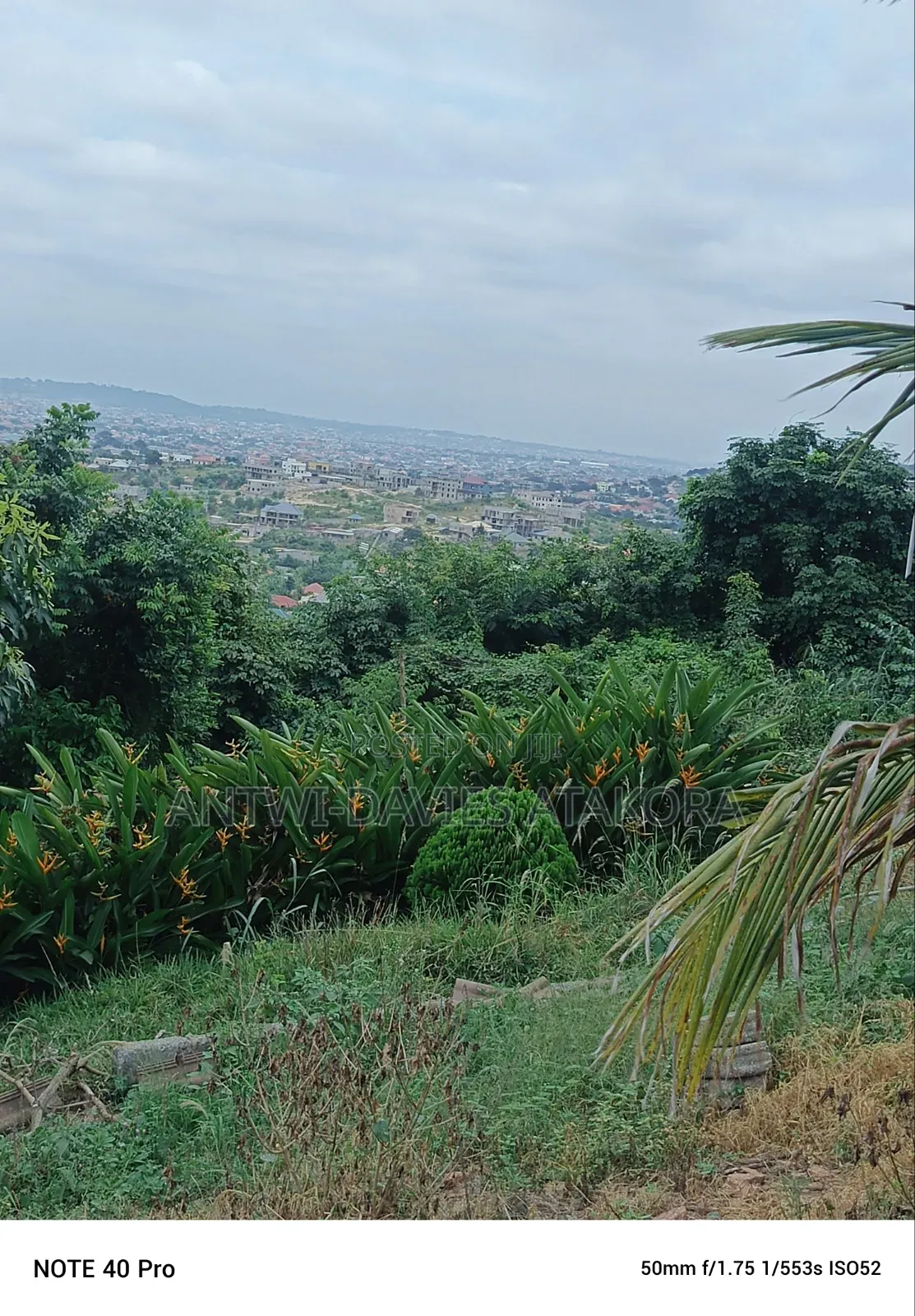 Hill Top Lands/ Plots for Sale.
