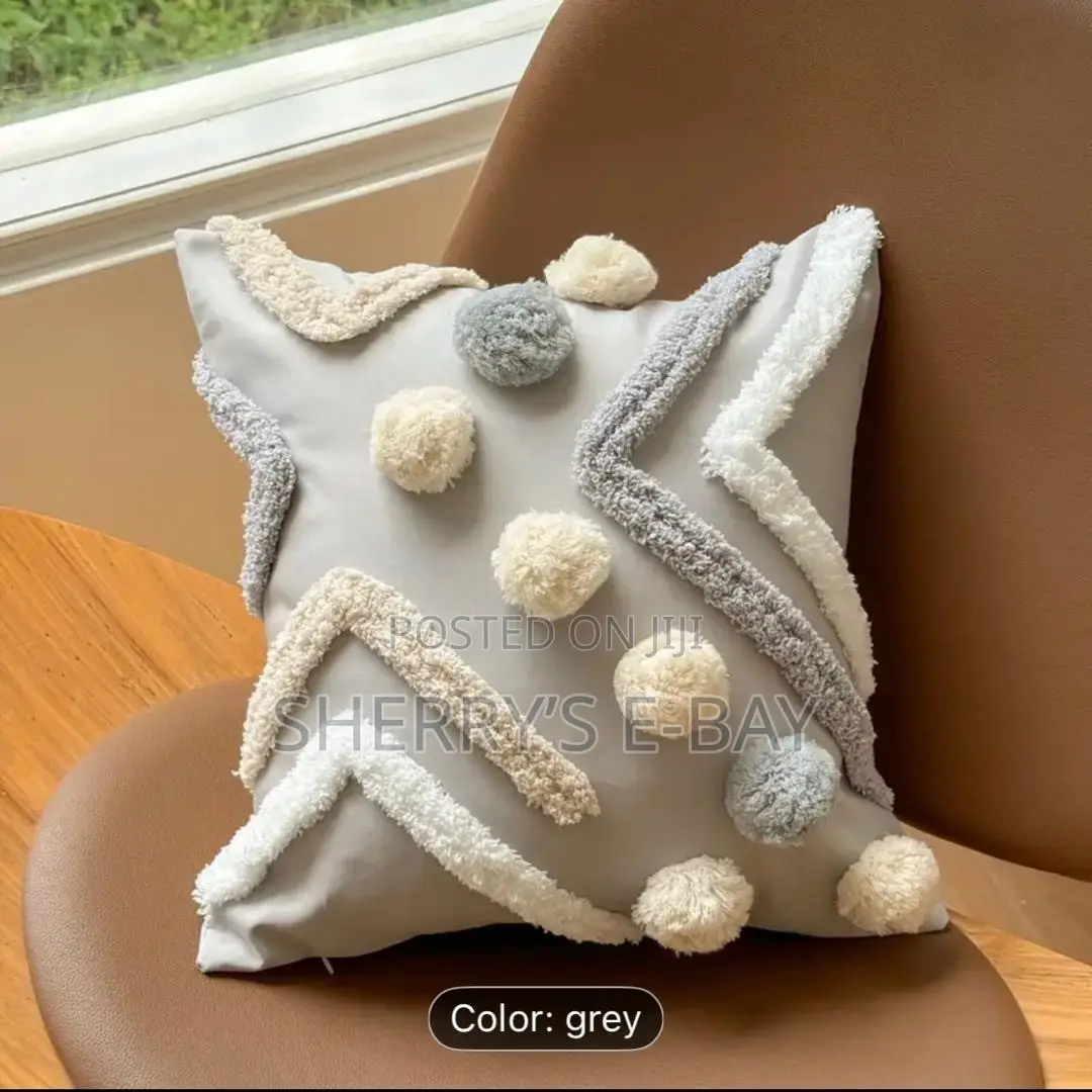 Throw Pillows With Printed Covers