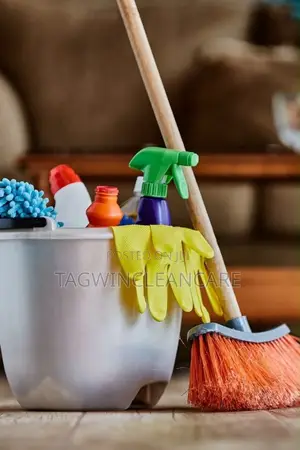 Premium Cleaning