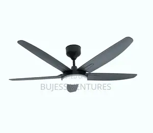 Five Blade Fan With Light