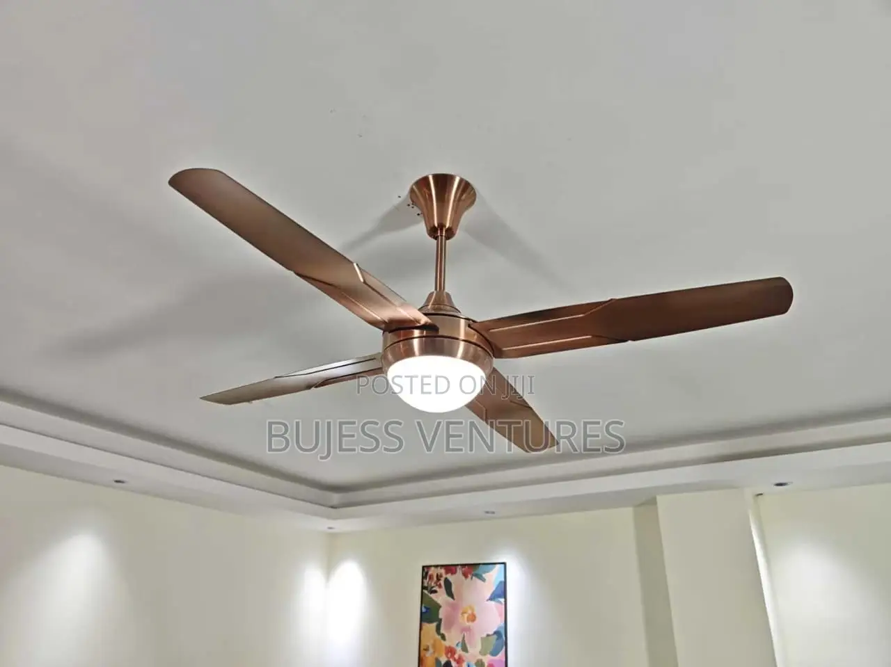 Fan With Light
