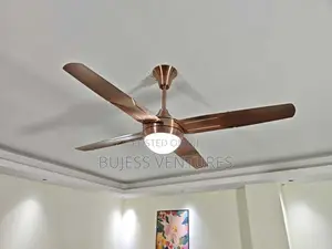 Fan With Light