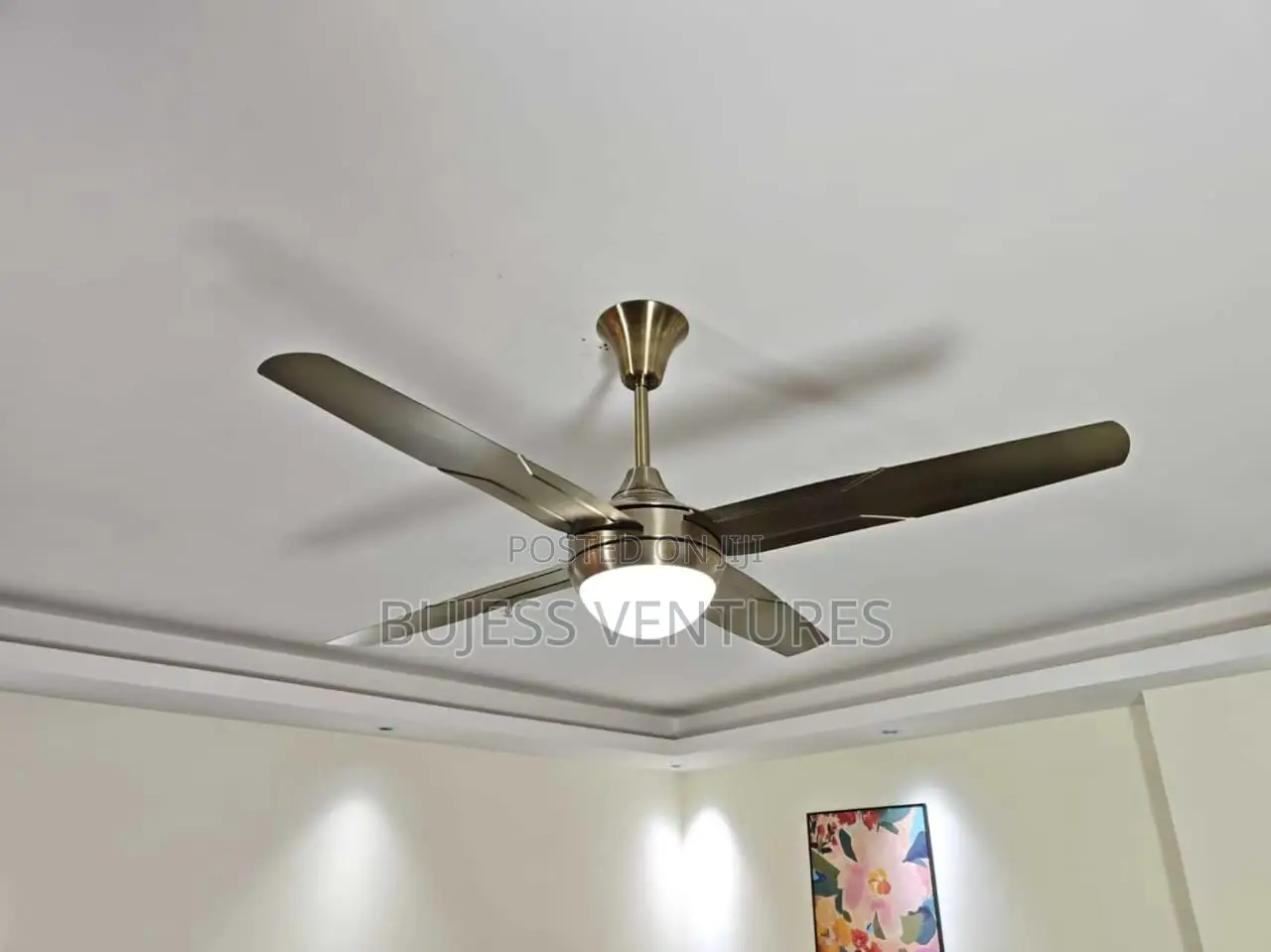 Fan With Light