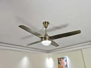 Fan With Light
