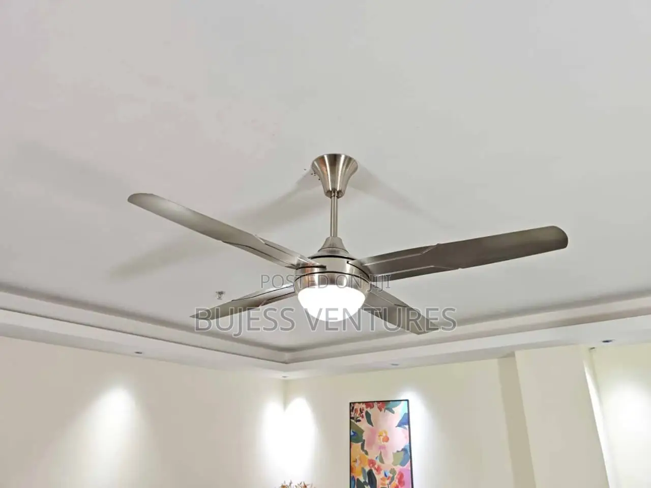Fan With Light