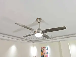 Fan With Light