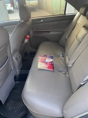 Toyota Camry 2010 Blue