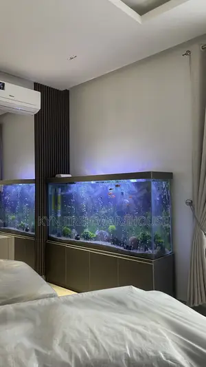 August Aquarium With 30 Fishes