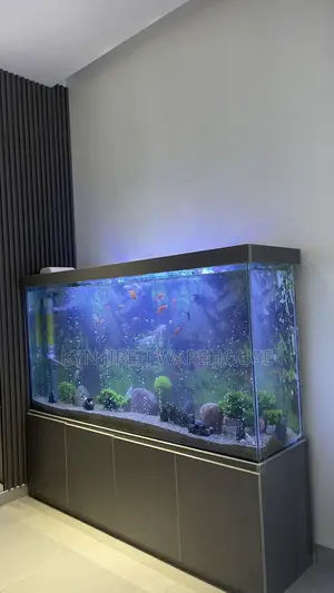 August Aquarium With 30 Fishes