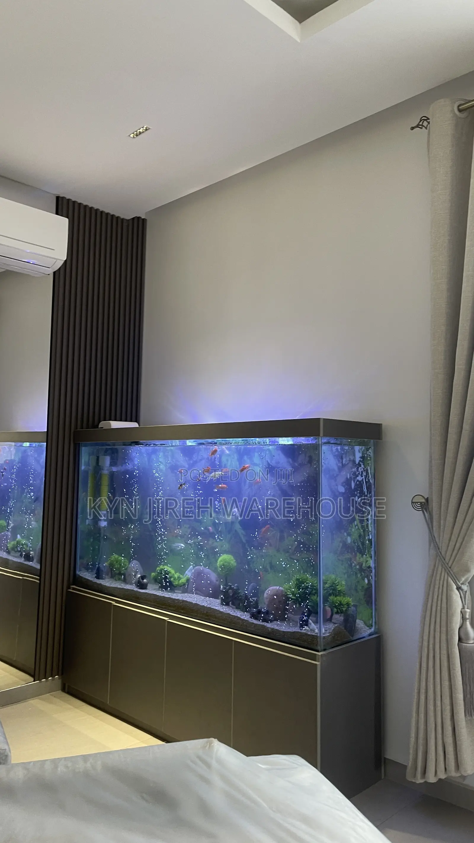 August Aquarium With 30 Fishes