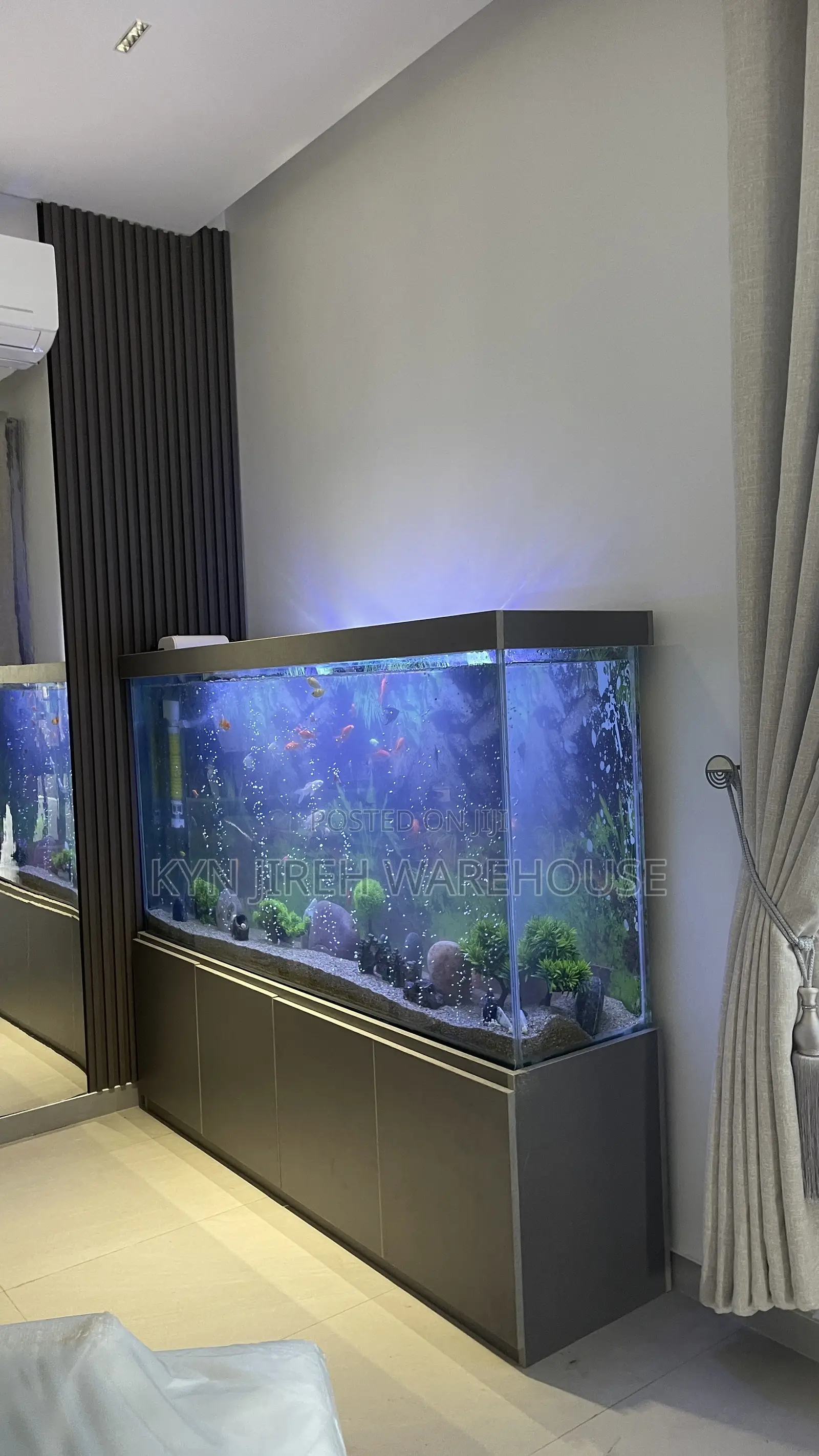 August Aquarium With 30 Fishes