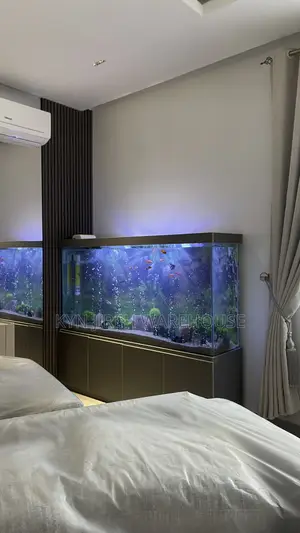 August Aquarium With 30 Fishes