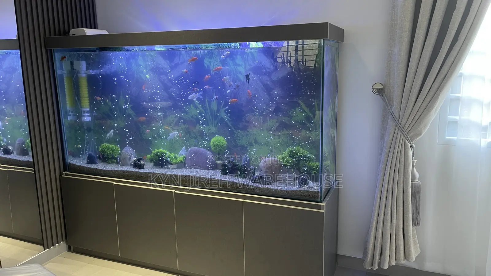 August Aquarium With 30 Fishes