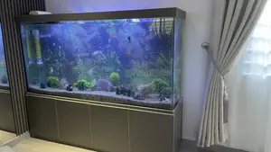 August Aquarium With 30 Fishes
