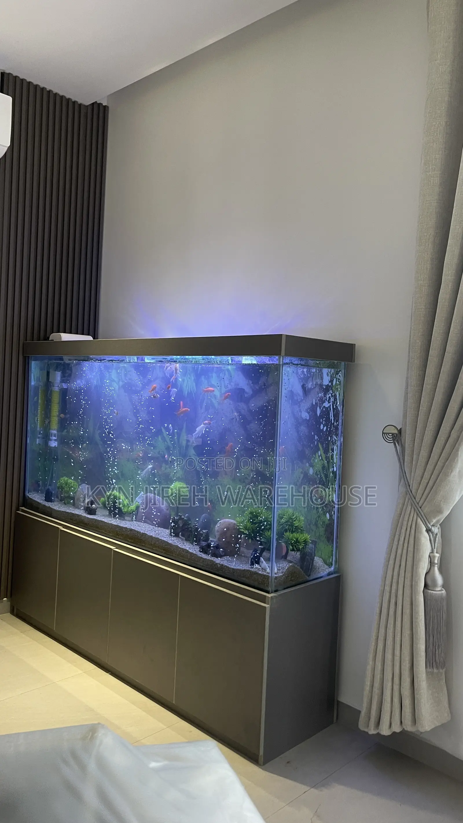 August Aquarium With 30 Fishes